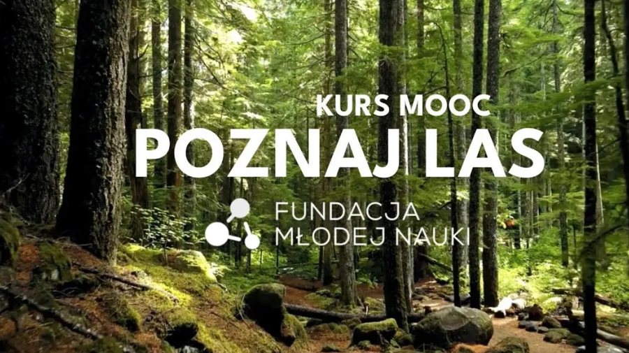 Kurs MOOC „Poznaj las”